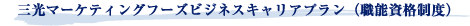�O���}�[�P�e�B���O�t�[�Y�r�W�l�X�L�����A�v�����i�E�\���i���x�j