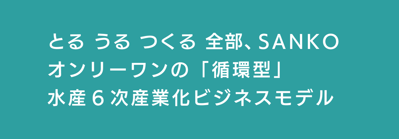 とるうるつくる全部、SANKO